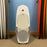 USED Armstrong Wing FG Foilboard-4'6" x 48L