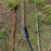 USED Duotone Flight 99 Control Bar