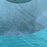 USED Reedin Whisper Kite-15m