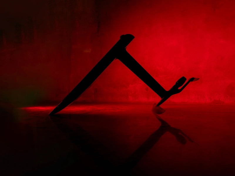 Fliteboard Race Carbon eFoil