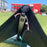 USED Core XR8 Kite-11m-Black