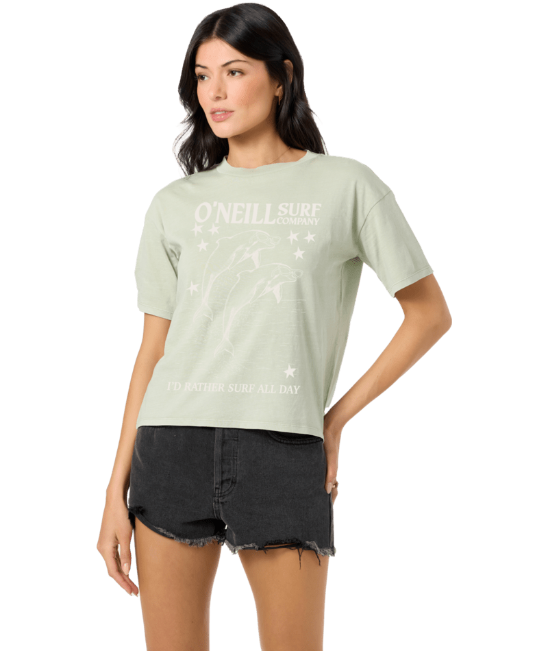 O'Neill Twinning Easy Tee-Desert Sage