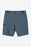 O'Neill Trvlr Expedition 20 Shorts-Cadet Blue