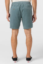 O'Neill OG Cord Shorts-Stormy Sea