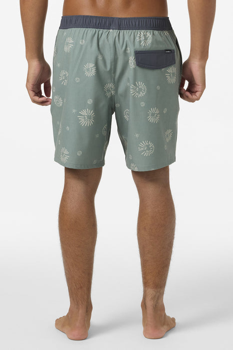 O'Neill Hermosa EW Lined 17 Boardshorts-Sage2