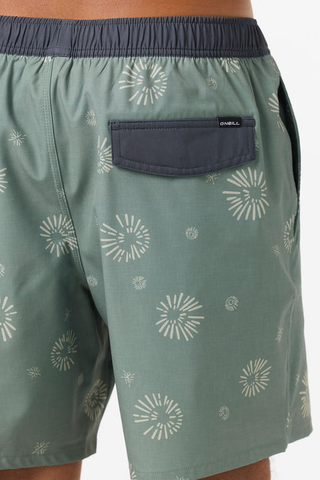 O'Neill Hermosa EW Lined 17 Boardshorts-Sage2
