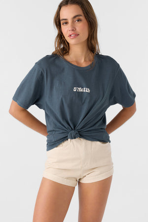 O'Neill Island Palms Tee-Slate