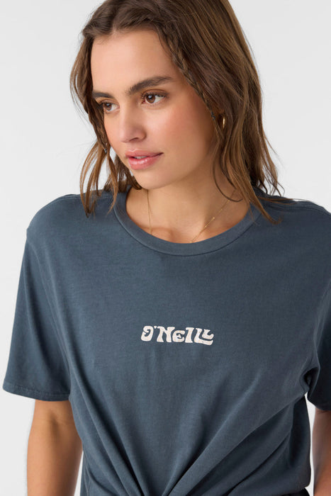 O'Neill Island Palms Tee-Slate