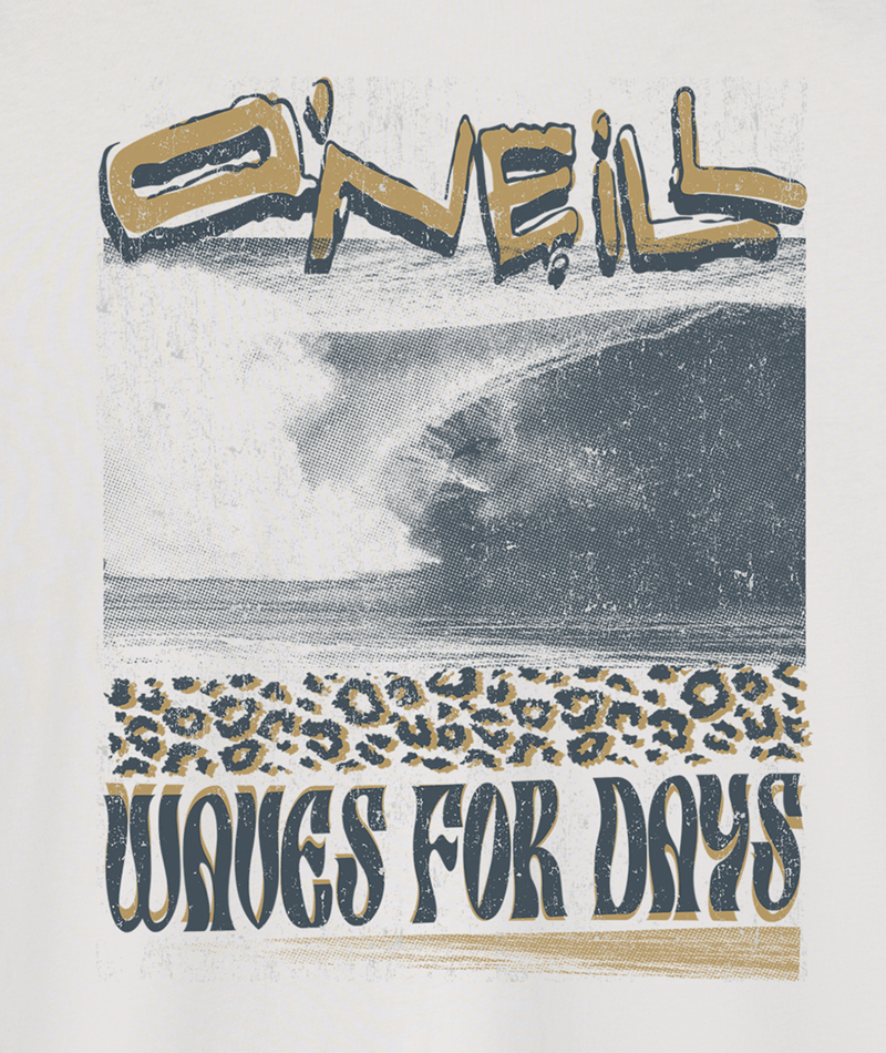 O'Neill Bomb It Classic Tee-Ash