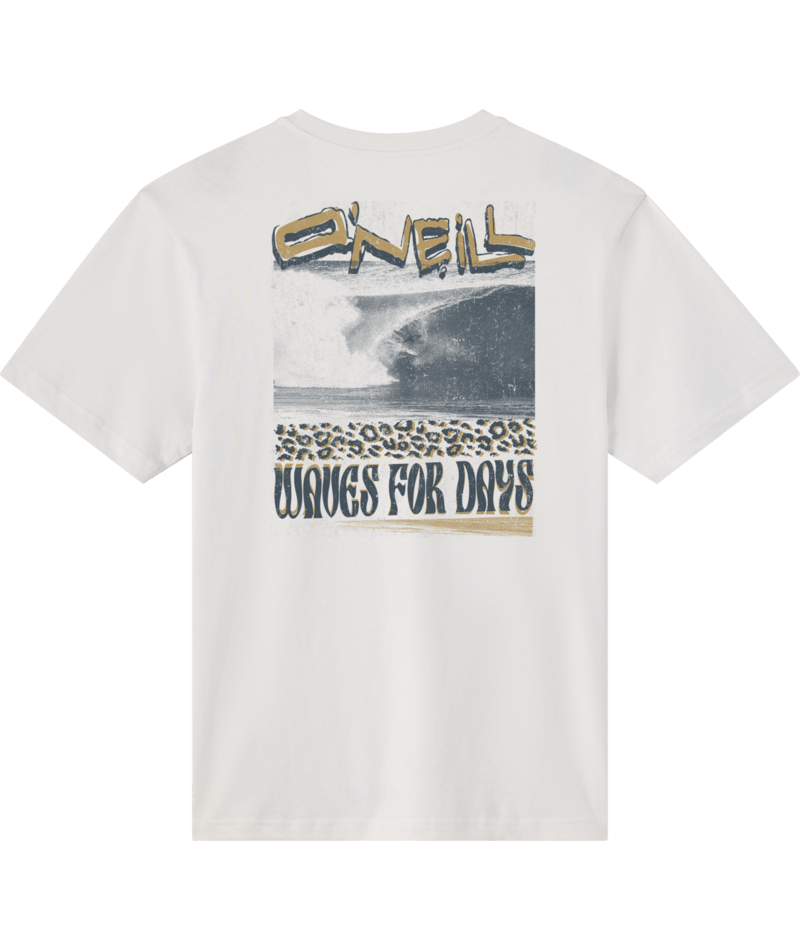 O'Neill Bomb It Classic Tee-Ash