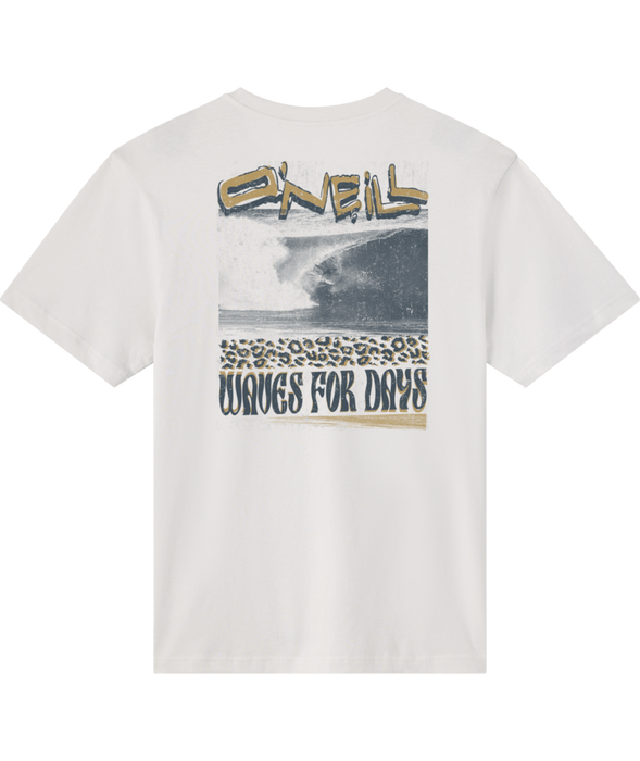 O'Neill Bomb It Classic Tee-Ash
