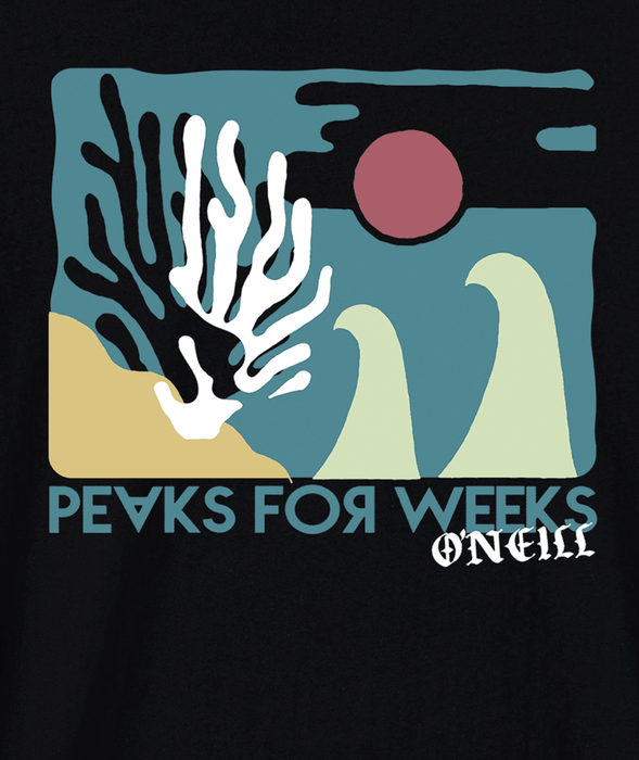 O'Neill Coral S/S Classic Tee-Black