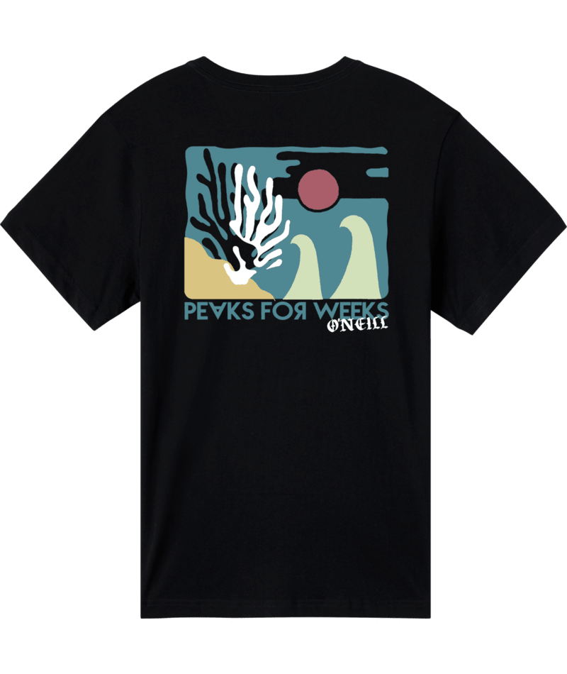 O'Neill Coral S/S Classic Tee-Black