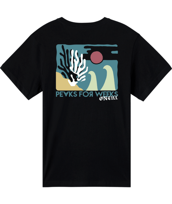 O'Neill Coral S/S Classic Tee-Black
