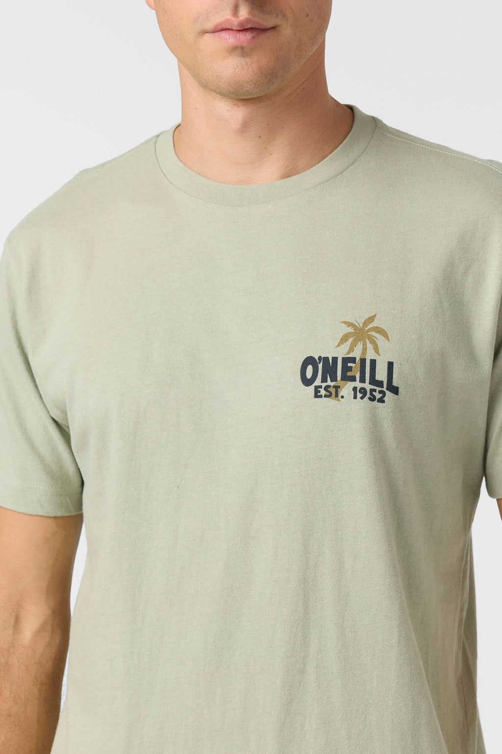 O'Neill Axelrad Tee-Seagrass