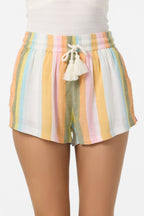 O'Neill Keagan Low Tide Stripe Shorts-Multi