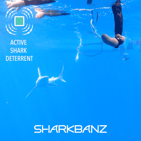 Sharkbanz 2 Wearable Shark Deterrent-White/Seafoam