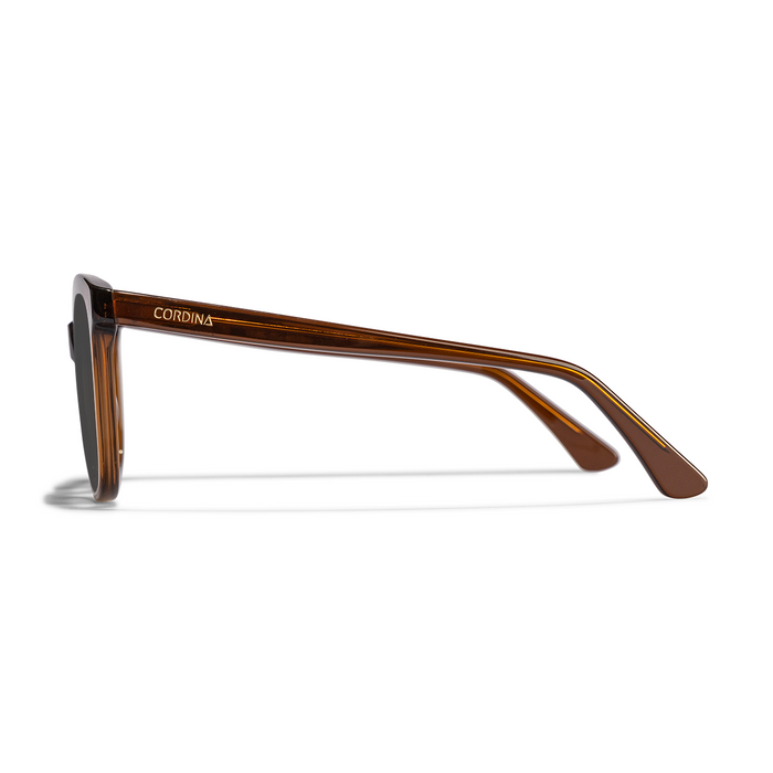 Cordina Dune Sunglasses-Shiny Coffee/Grey Polar