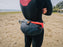 Ozone Parawing Stash Belt
