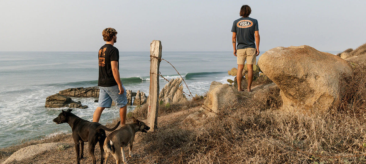 Vissla