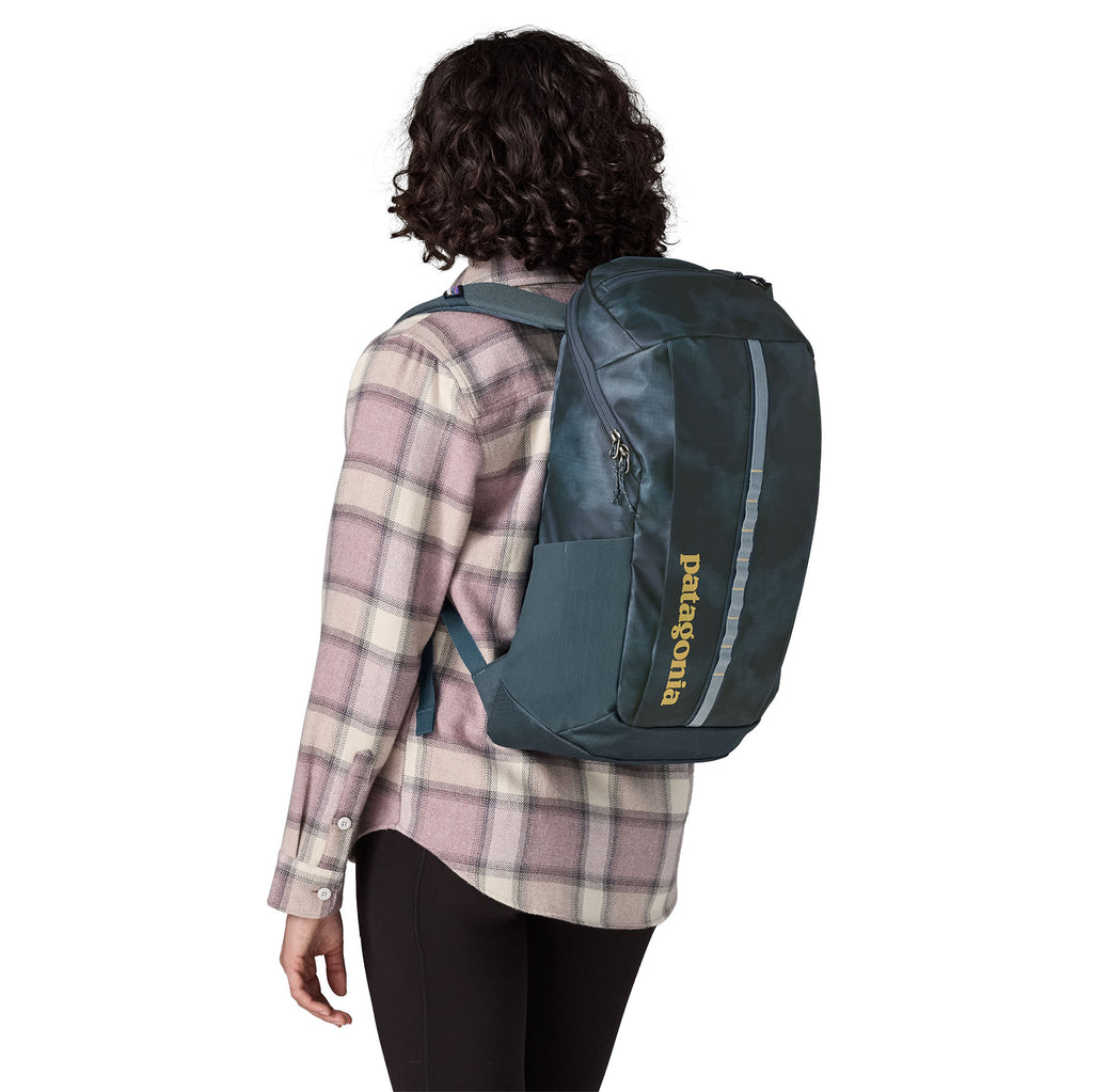 Patagonia Black Hole 25L Backpack-Sastrugi: Summit Blue