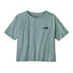 Patagonia 73 Skyline Easy Cut Responsibili-Tee-Blue Sage