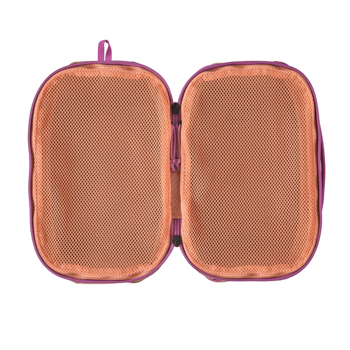 Patagonia Black Hole Cube 6L Bag-Peach Sherbet