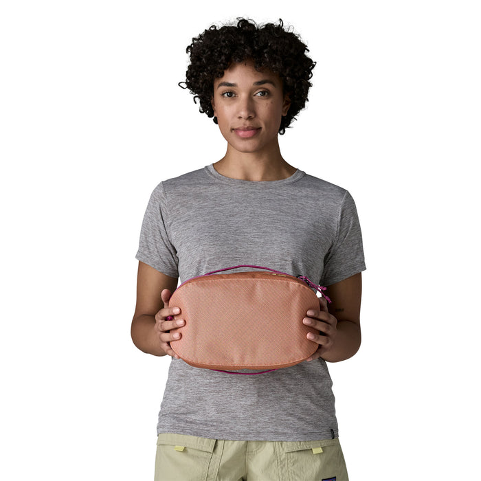 Patagonia Black Hole Cube 6L Bag-Peach Sherbet