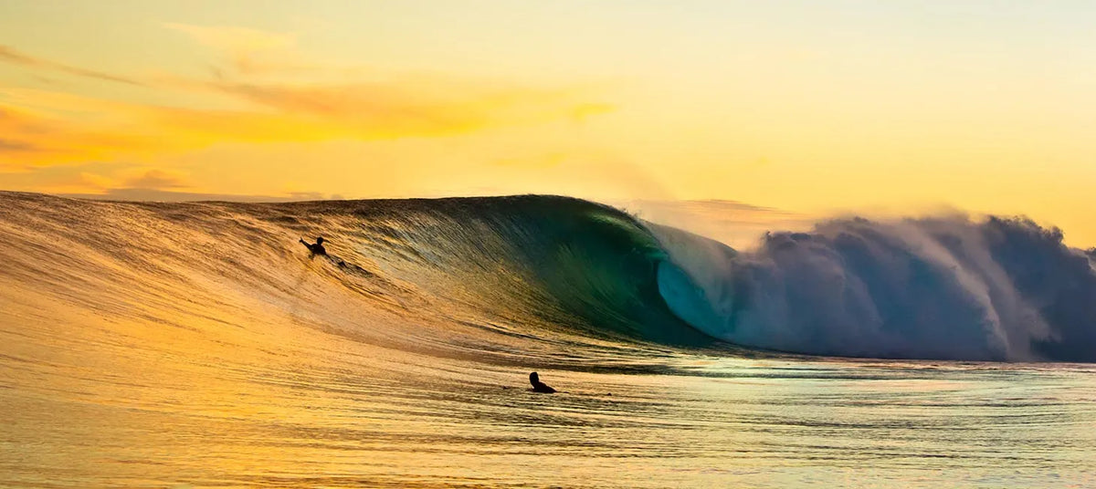 Rip Curl