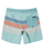 Quiksilver Everyday Stripe 19 Boardshorts-Limpet Shell