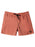 Quiksilver Everyday Surfwash Volley 17 Boardshorts-Canyon Clay