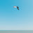 F-One Bandit LE Brainchild Kite