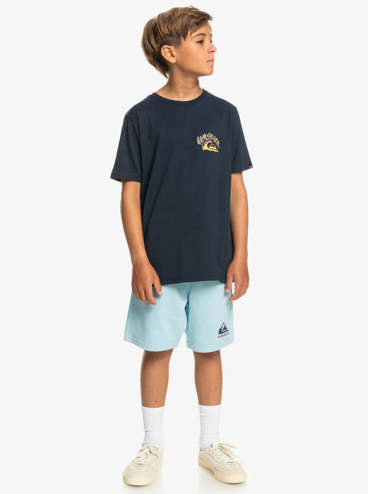 Quiksilver Easy Day Youth Shorts-Sky Blue