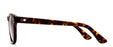 Otis Summer Of 67 Sunglasses-Eco Havana/Brown Polar