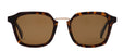 Otis Modern Ave Sunglasses-Eco Havana/Brown Polar