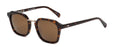 Otis Modern Ave Sunglasses-Eco Havana/Brown Polar