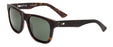 Otis Panorama Sunglasses-Eco Havana/Brown Polar