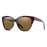 Smith Era Sunglasses-Tort/Chromapop Brown Polar