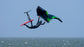 Slingshot Dart V1 Wing-Black