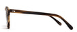 Otis Omar Sunglasses-Eco Hornwood/Brown Polar