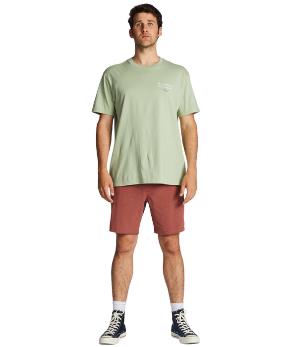 Billabong Panorama Tee-Light Sage