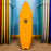 Roger Hinds Dream Fish Fusion HD 5'9"