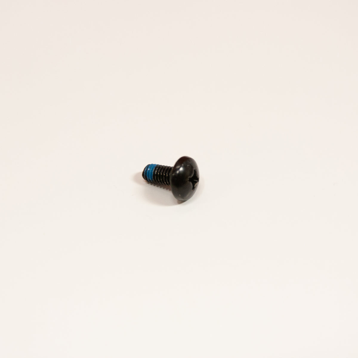 REAL Watersports Stainless Hardware-M6 x 12.5mm