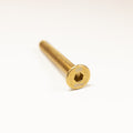 REAL Watersports Titanium Hardware-M8 x 60mm