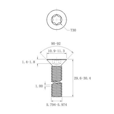 316 Stainless Steel T30 Torx Screw-M6