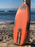 Freedom Foil Boards The Whip Custom