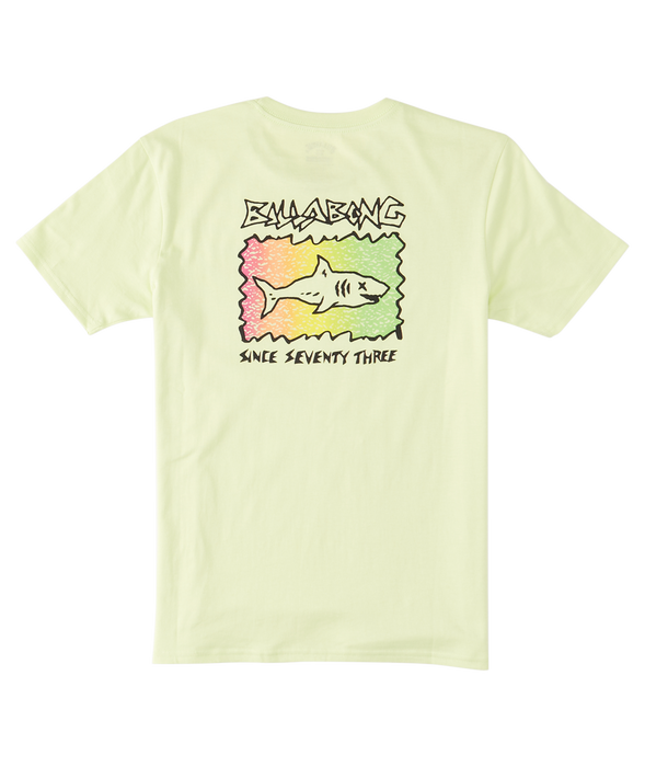 Billabong Boy's Sharky Tee-Light Green