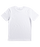 Quiksilver Picture In Motion Youth Tee-White