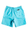 Quiksilver Everyday Volley 15 Youth Boardshorts-Pacific Blue