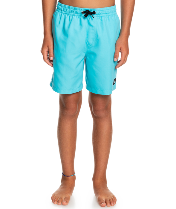 Quiksilver Everyday Volley 15 Youth Boardshorts-Pacific Blue
